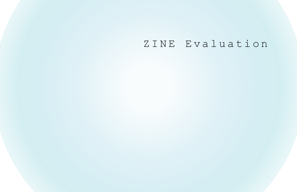 Zine evaluation